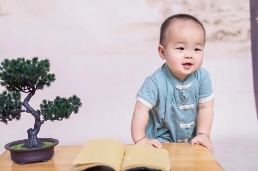 云梦可爱的企鹅宝宝